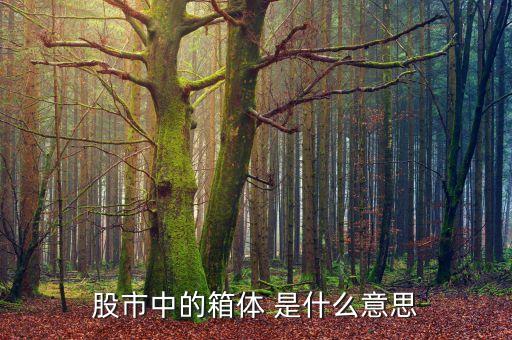 股市箱體是什么，股票的箱體指什么