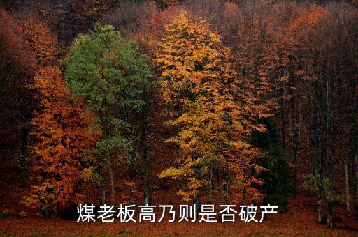 七千萬(wàn)嫁女煤老板為什么會(huì)破產(chǎn)，太原迎賓車站附近最近奇聞