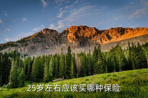 25歲買什么保險(xiǎn)好，25歲買什么保險(xiǎn)最劃算