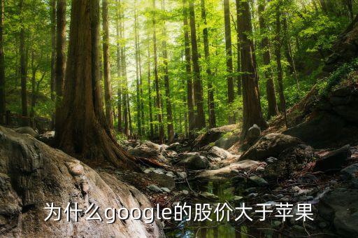 為什么google股票比apple貴，為什么微軟的股價(jià)比硅谷其他巨頭比如蘋果Google低那么多