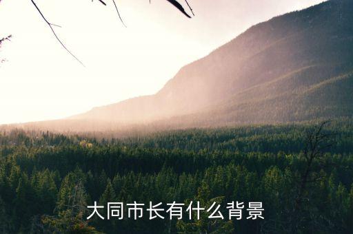 王挺革有什么背景，a rose for amily 的寫作背景是什么