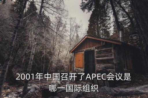 中國舉行合作論壇首次論壇是什么，論壇是什么