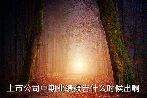 中報(bào)業(yè)績最晚什么時(shí)間公布，規(guī)定股票中報(bào)什么時(shí)候出