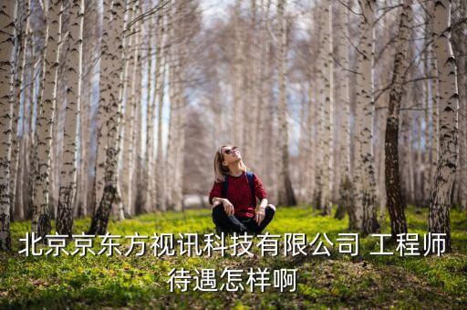 京東方視迅是什么公司，北京京東方視訊科技有限公司 工程師待遇怎樣啊