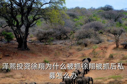 徐翔為什么會被抓，澤熙投資徐翔為什么被抓徐翔被抓后私募怎么辦