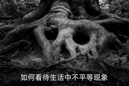 什么是機(jī)會(huì)不平等，辯論論機(jī)會(huì)對(duì)于每個(gè)人是否是平等的求辯論辯詞