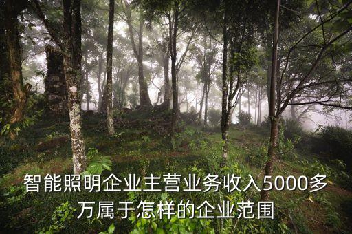 溫州宏豐主營什么，請(qǐng)問凈利率的公式計(jì)算是凈利潤主營業(yè)務(wù) 還是主營業(yè)務(wù)還加其他也