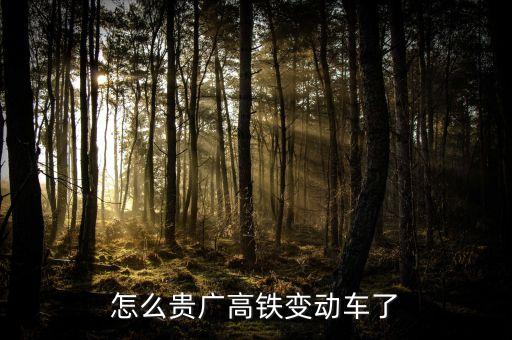 高鐵什么時候變動車，怎么貴廣高鐵變動車了