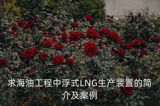 什么是浮式lng項(xiàng)目，什么是浮式LNG