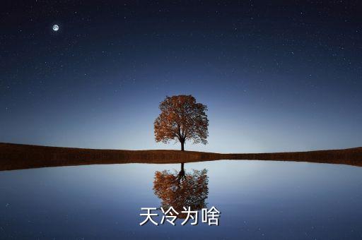 暴雪冷空氣利好什么股票小說，下雪了天咋這么冷