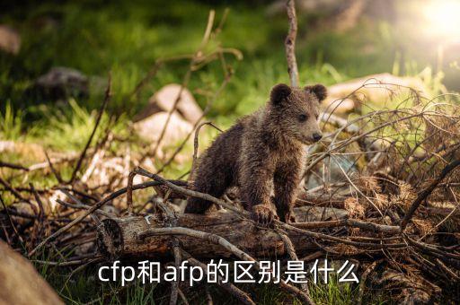 cfp是什么意思，AFPCFP是什么意思