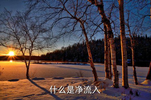中單凈流入是什么意思，為什么中單凈流入與小單凈流入之和等于主力凈流入