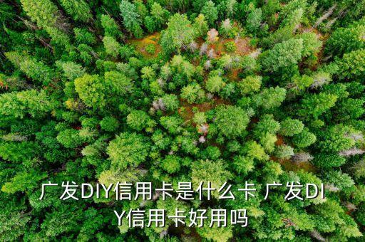 什么是diy信用卡，廣發(fā)DIY信用卡是什么卡 廣發(fā)DIY信用卡好用嗎