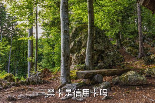銀行黑卡是什么意思，黑卡是信用卡嗎