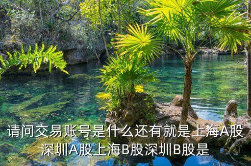 股東賬號(hào)是什么，請(qǐng)問(wèn)交易賬號(hào)是什么還有就是上海A股深圳A股上海B股深圳B股是