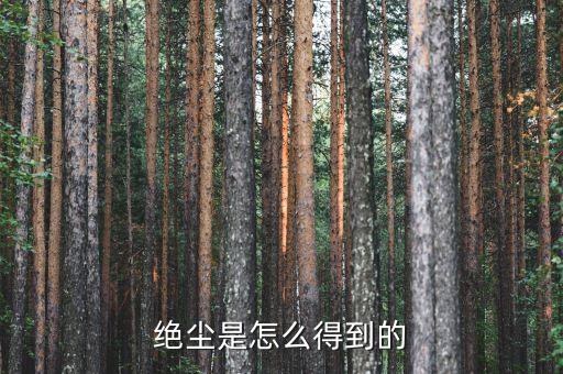 為什么絕塵貴，怎么弄到絕塵