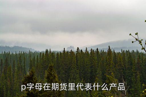 pp是什么期貨，聚丙烯期貨是什么