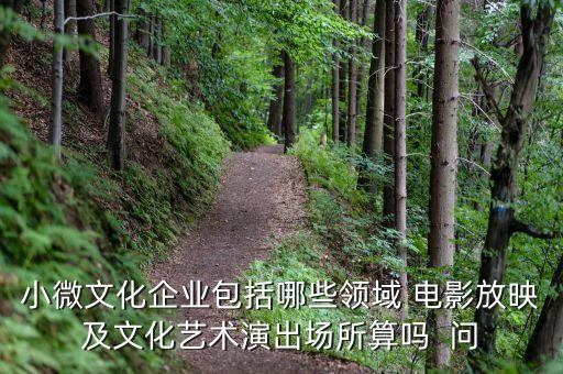 小微文化企業(yè)具體指什么，小微文化企業(yè)包括哪些領(lǐng)域 電影放映及文化藝術(shù)演出場(chǎng)所算嗎  問(wèn)