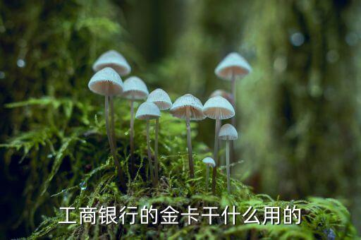 工商銀行金卡有什么用，工行的金卡有什么用