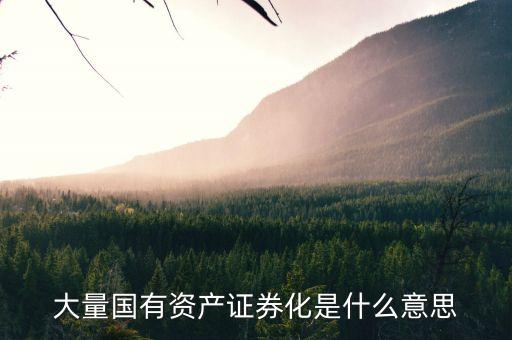 什么是國資證券化率，資產(chǎn)證券化率的公式