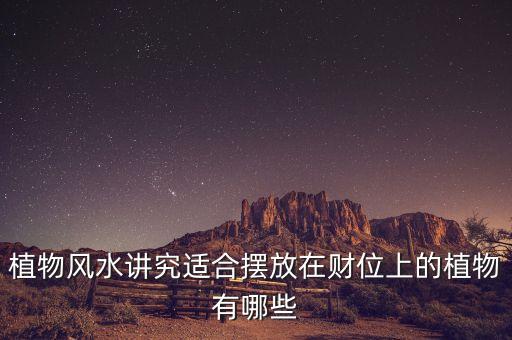 16年擺什么花利于財(cái)，客廳擺放什么花最吉利