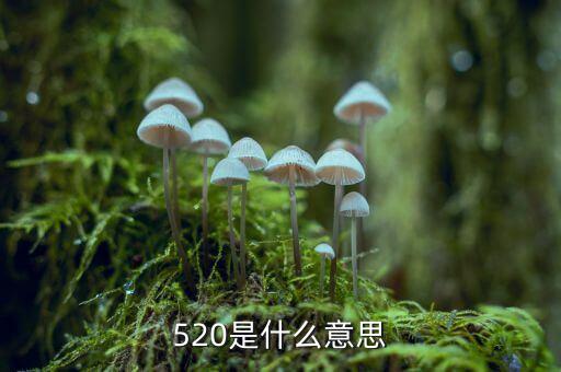 什么是1浪5，江恩數(shù)浪法則如何劃分五浪