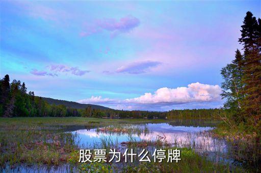 600057為什么停牌，2013年3月600576為何停盤