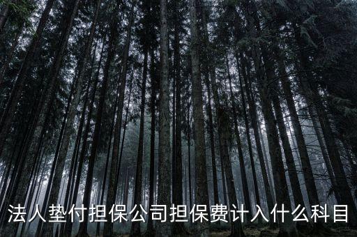 什么是法人墊款，法人代墊款的分錄需有什么附件嗎