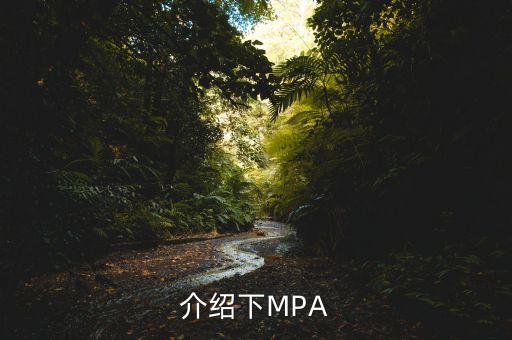 mpa投資是什么公司，mpa是什么單位