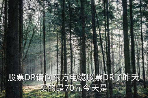603606東方電纜屬于什么股票，丹 東 浪 頭 機(jī) 場(chǎng) 訂 票 熱 線 電 話 是 多 少