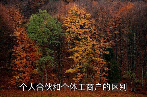 個人合伙領(lǐng)取什么經(jīng)營執(zhí)照，個人合伙辦理個體工商戶執(zhí)照