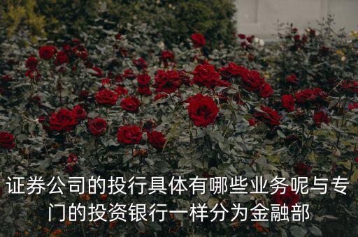 國內(nèi)券商投行部在做什么，國有四大行的投行部在做什么