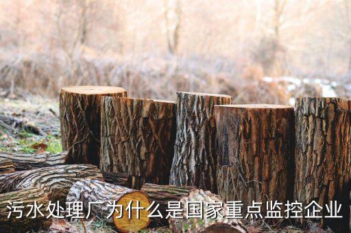 重點監(jiān)控企業(yè)為什么，稅務(wù)局來電要我們公處理重點監(jiān)控是什么意思