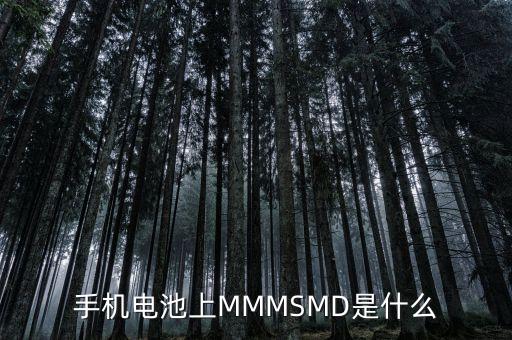 什么是電力儲(chǔ)能，手機(jī)電池上MMMSMD是什么