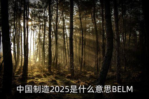 2025規(guī)劃是什么，中國制造2025是什么意思BELM