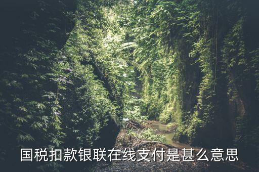 銀聯(lián)劃扣跟連連支付有什么區(qū)別，國稅扣款銀聯(lián)在線支付是甚么意思