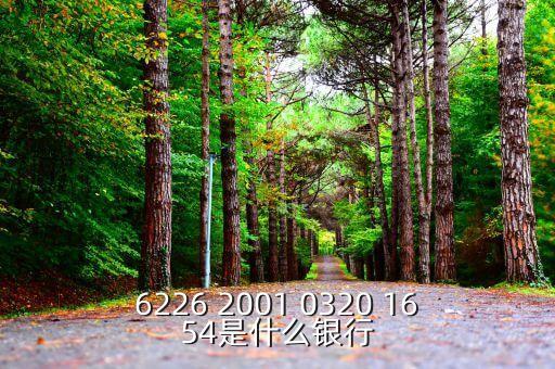625166是什么銀行，6226 2001 0320 1654是什么銀行