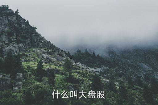 大盤股是什么意思，什么是大盤股