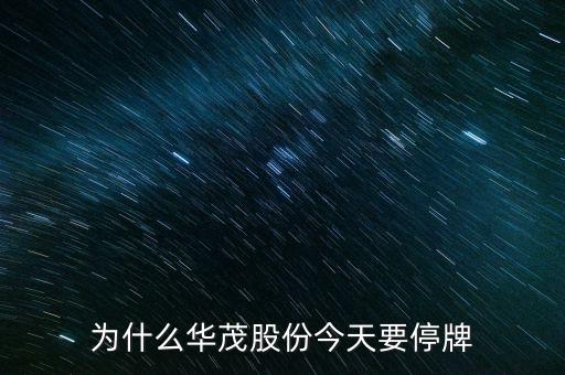600366今日為什么停牌，600636為什么會停牌