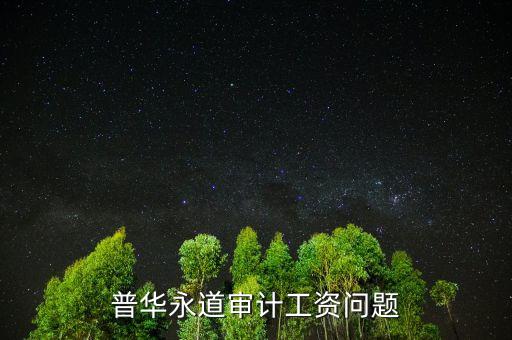 普華審計做什么，普華永道審計工資問題