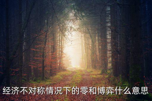 經(jīng)濟(jì)不對(duì)稱(chēng)情況下的零和博弈什么意思