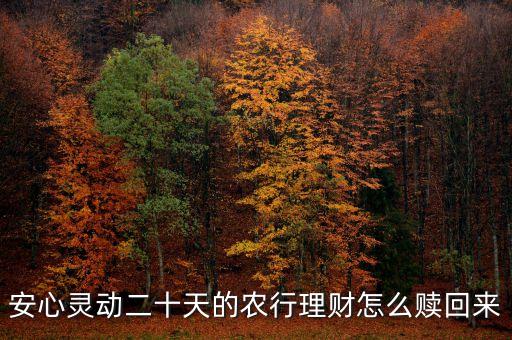 安心靈動(dòng)20天什么時(shí)候可以贖回，安心靈動(dòng)二十天的農(nóng)行理財(cái)怎么贖回來