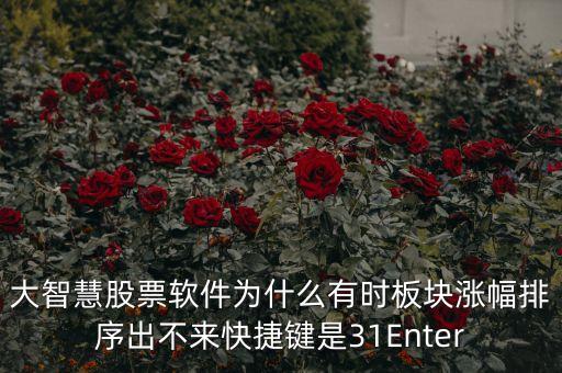 板塊排不按什么鍵，大智慧股票軟件為什么有時(shí)板塊漲幅排序出不來(lái)快捷鍵是31Enter