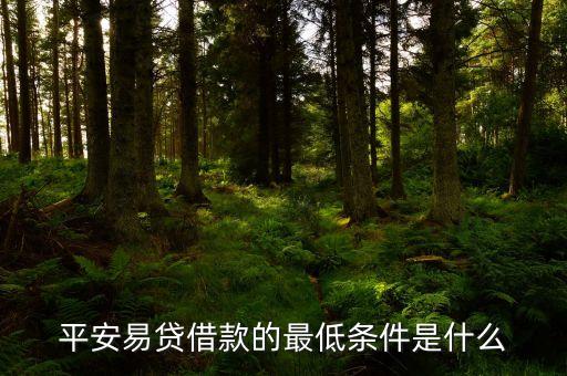平安信保易貸是什么，平安易貸借款的最低條件是什么