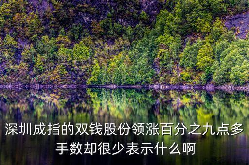 雙錢股份是什么公司，深圳成指的雙錢股份領(lǐng)漲百分之九點(diǎn)多 手?jǐn)?shù)卻很少表示什么啊