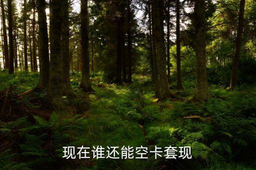 什么地方可以空卡套現(xiàn)，誰知道煙臺地區(qū)有辦理空卡套現(xiàn)的么