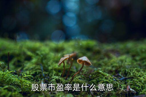 股票中的市盈率是什么意思，什么是股票市盈率