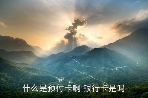 什么是預(yù)付卡受理業(yè)務(wù)，什么是預(yù)付卡啊 銀行卡是嗎