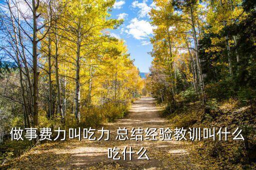 總結(jié)經(jīng)驗教訓叫什么，總結(jié)經(jīng)驗教訓叫吃什么