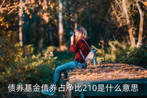 基金中的占凈比什么意思，債券基金債券占凈比210是什么意思